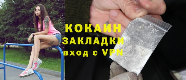хмурый Белокуриха