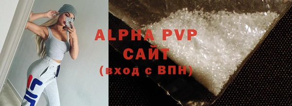 хмурый Белокуриха