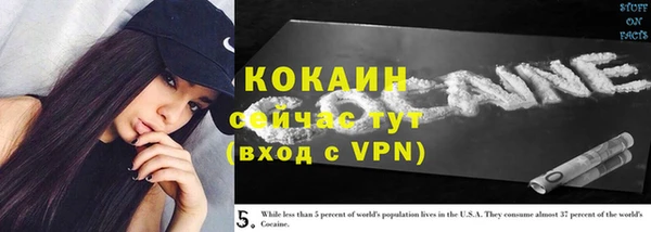 соль ск Тында