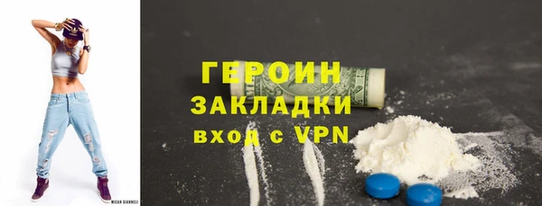 индика Туринск