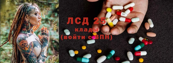 хмурый Белокуриха