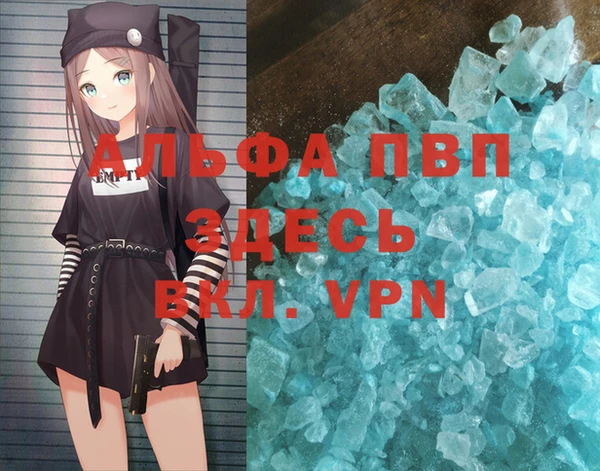хмурый Белокуриха
