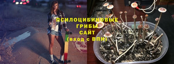 хмурый Белокуриха