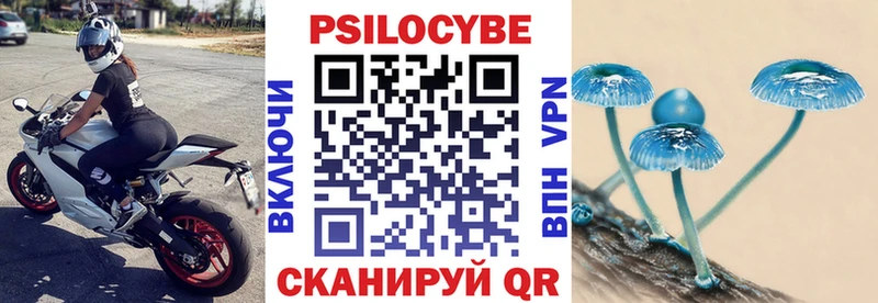 сколько стоит  mega ТОР  Галлюциногенные грибы мухоморы  Кудрово 